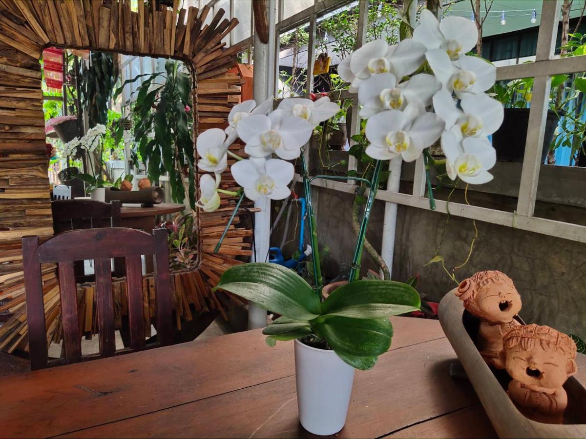 Aunt & Uncle'S House Bed & Breakfast Chiang Mai Luaran gambar